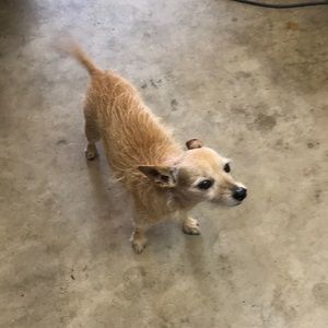 Meet your Posher, Jim